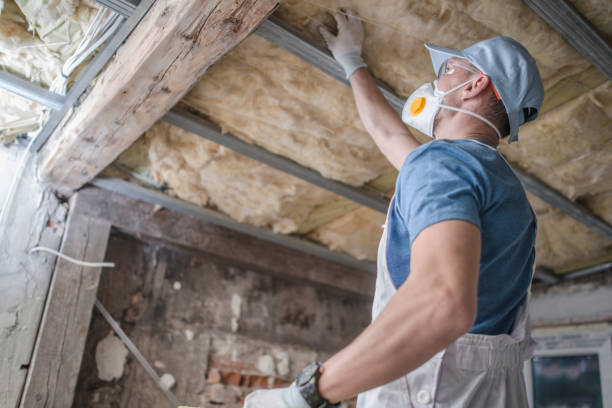 Best Insulation Materials and Products in Bainbridge Island, WA