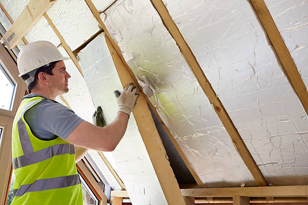 Best Energy Efficiency Solutions in Bainbridge Island, WA